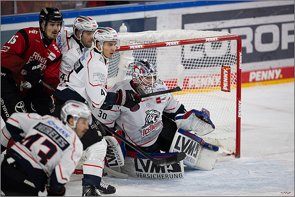 PENNY DEL 1; Kölner Haie - Nürnberg Ice Tigers; Köln, 05.12.2025