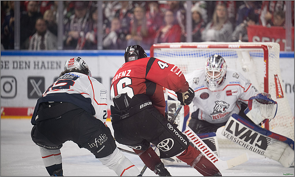 PENNY DEL; Kölner Haie-Nürnberg Ice Tigers; Köln, 05.12.2025