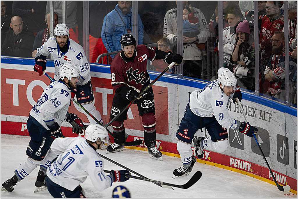 PENNY DEL 1; Kölner Haie - Adler Mannheim; Köln, 14.12.2025