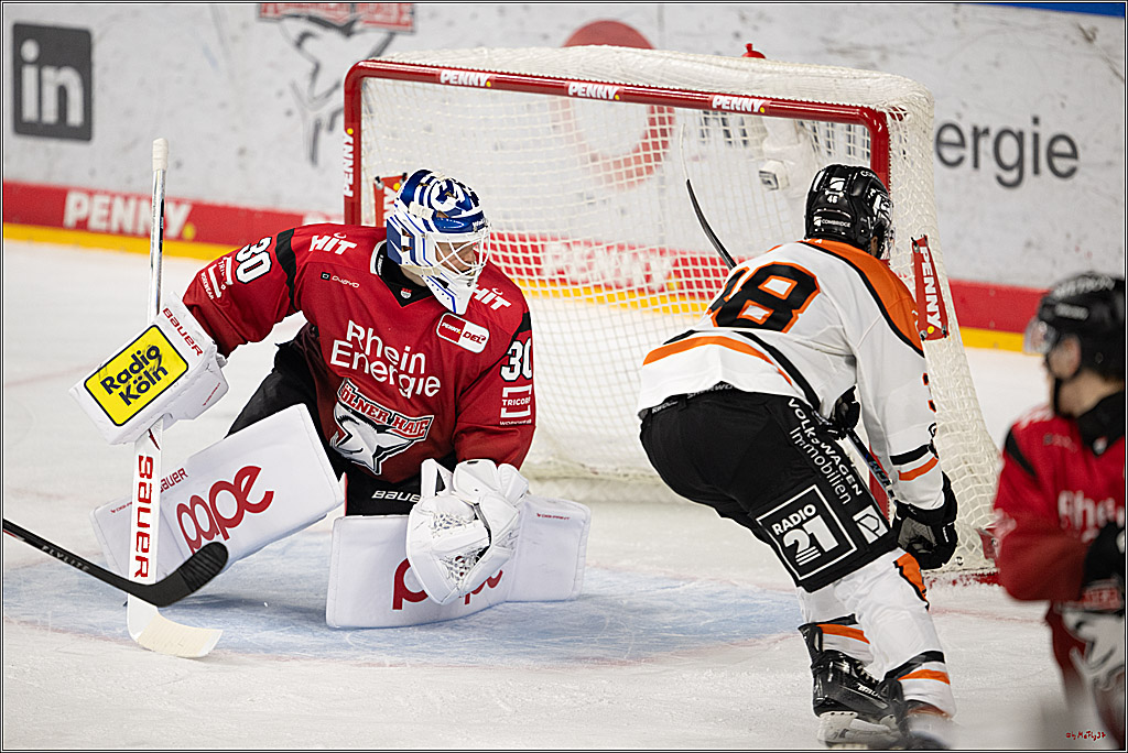 PENNY DEL; Kölner Haie - Grizzly Wolfsburg; Köln, 18.12.2025