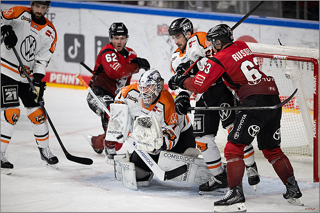 PENNY DEL; Kölner Haie - Grizzly Wolfsburg; Köln, 18.12.2025