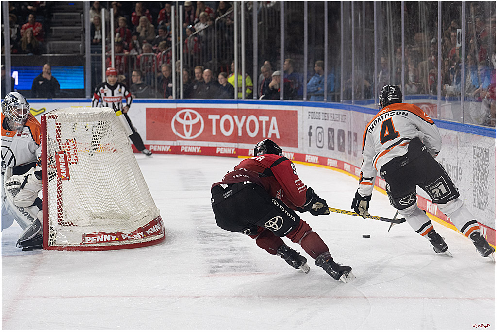 PENNY DEL; Kölner Haie - Grizzly Wolfsburg; Köln, 18.12.2025