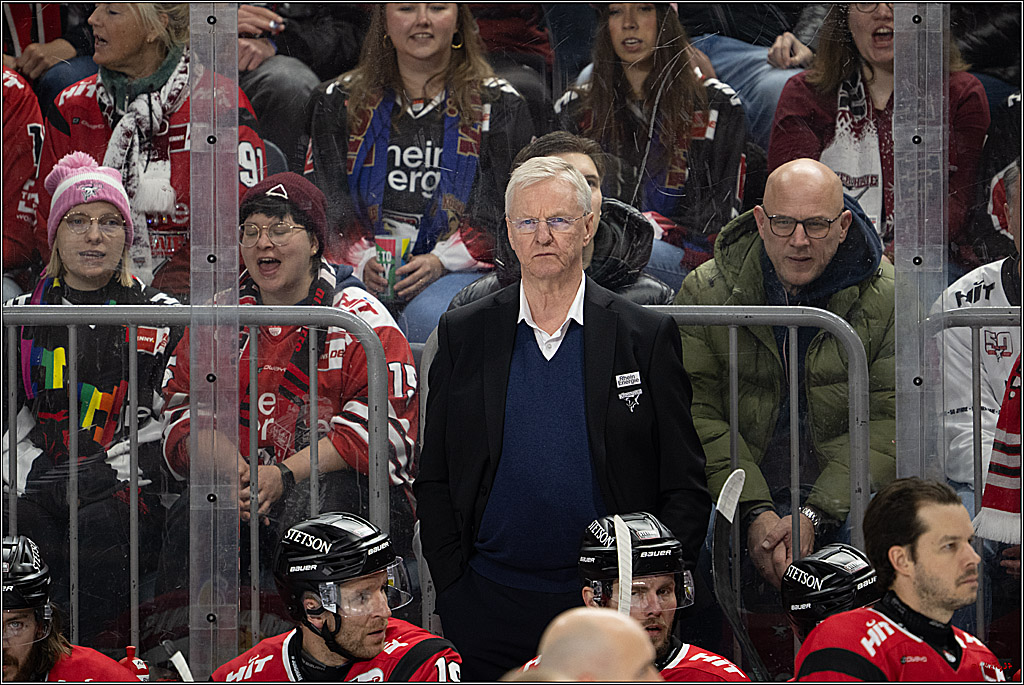 PENNY DEL 1; Kölner Haie - Straubing Tigers; Köln, 02.01.2026