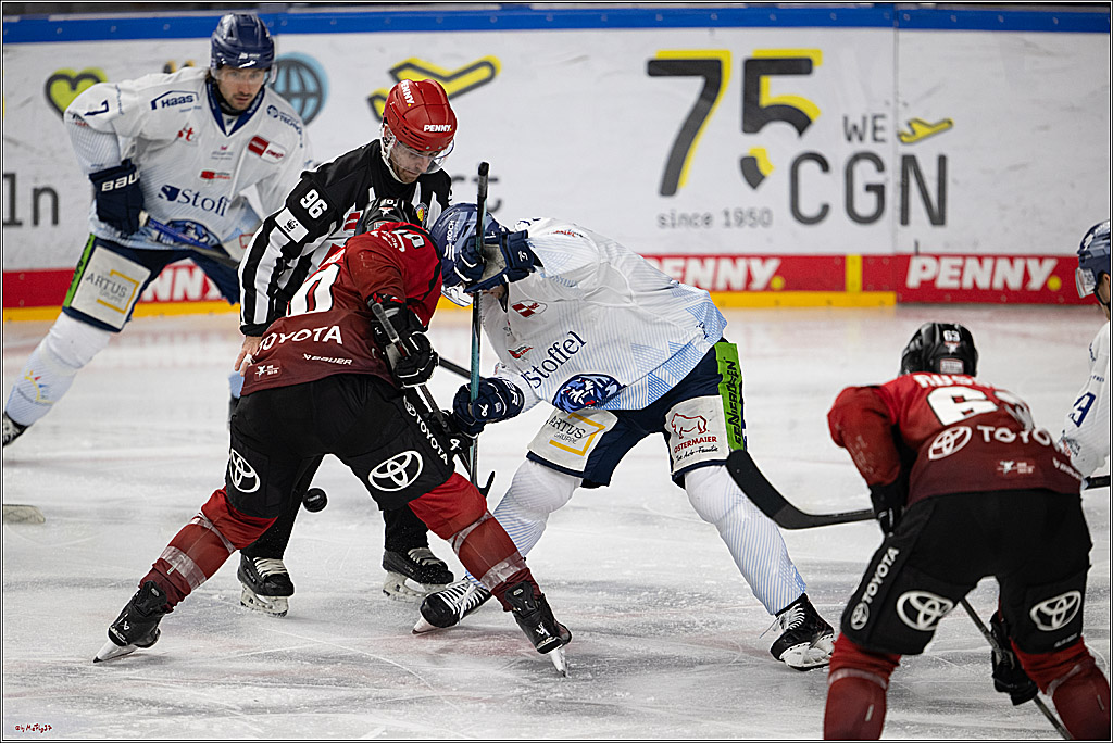 PENNY DEL 1; Kölner Haie - Straubing Tigers; Köln, 02.01.2026