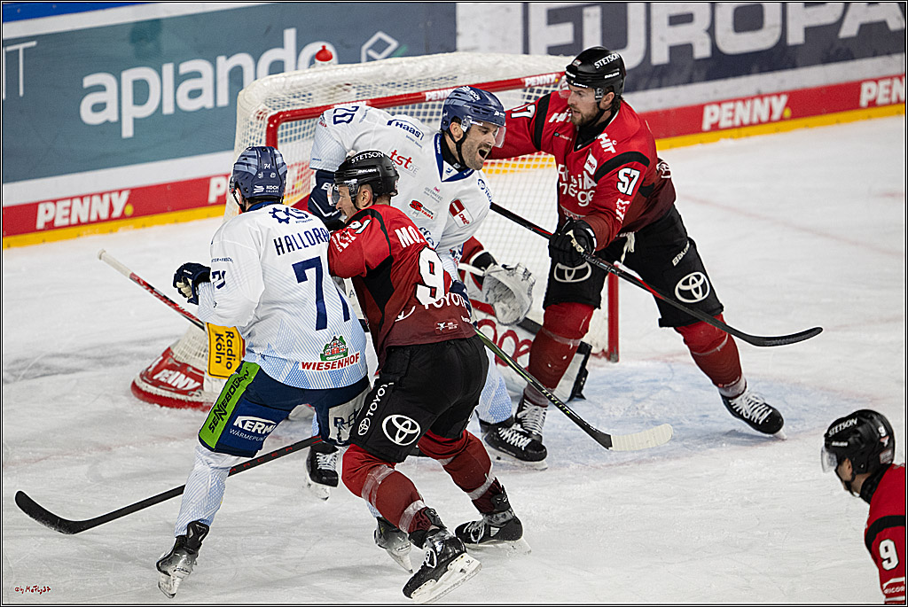 PENNY DEL 1; Kölner Haie - Straubing Tigers; Köln, 02.01.2026