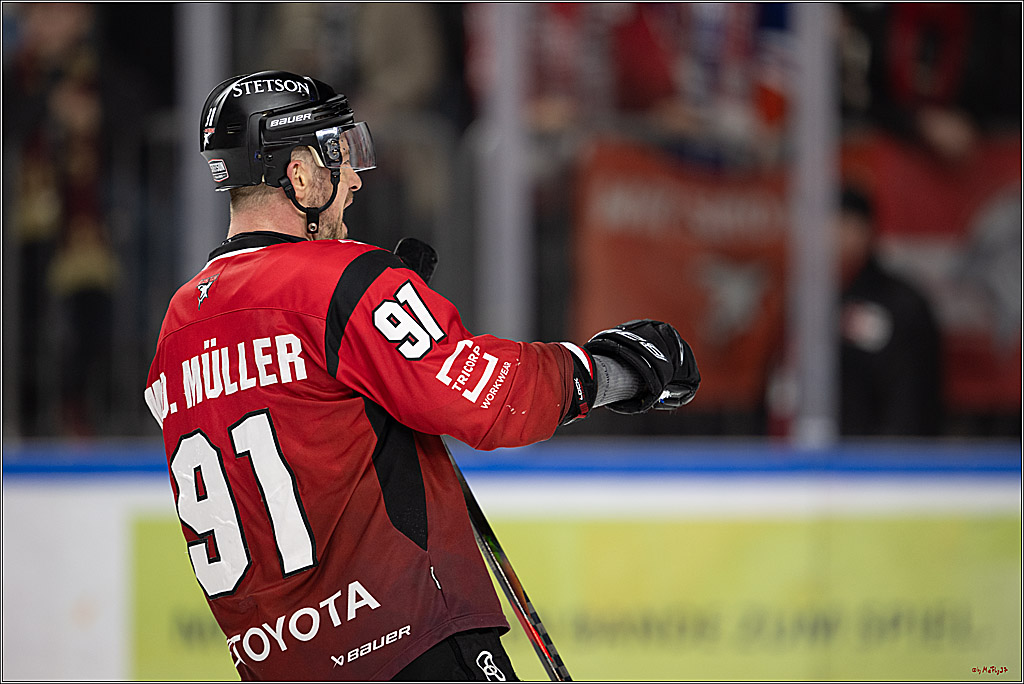 PENNY DEL 1; Kölner Haie - Straubing Tigers; Köln, 02.01.2026