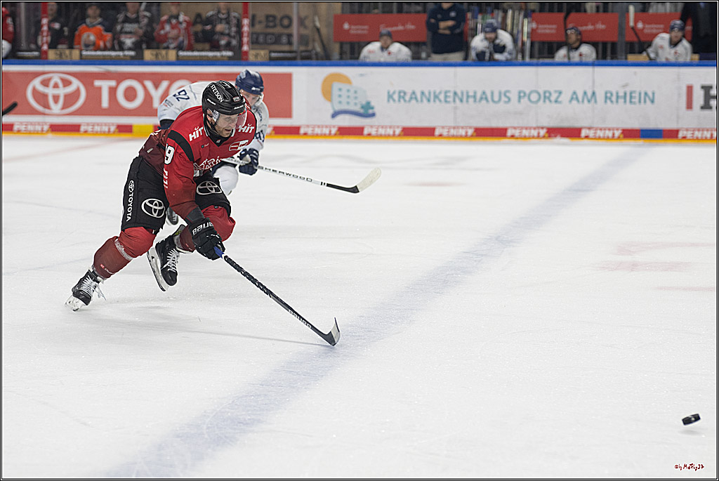 PENNY DEL 1; Kölner Haie - Straubing Tigers; Köln, 02.01.2026