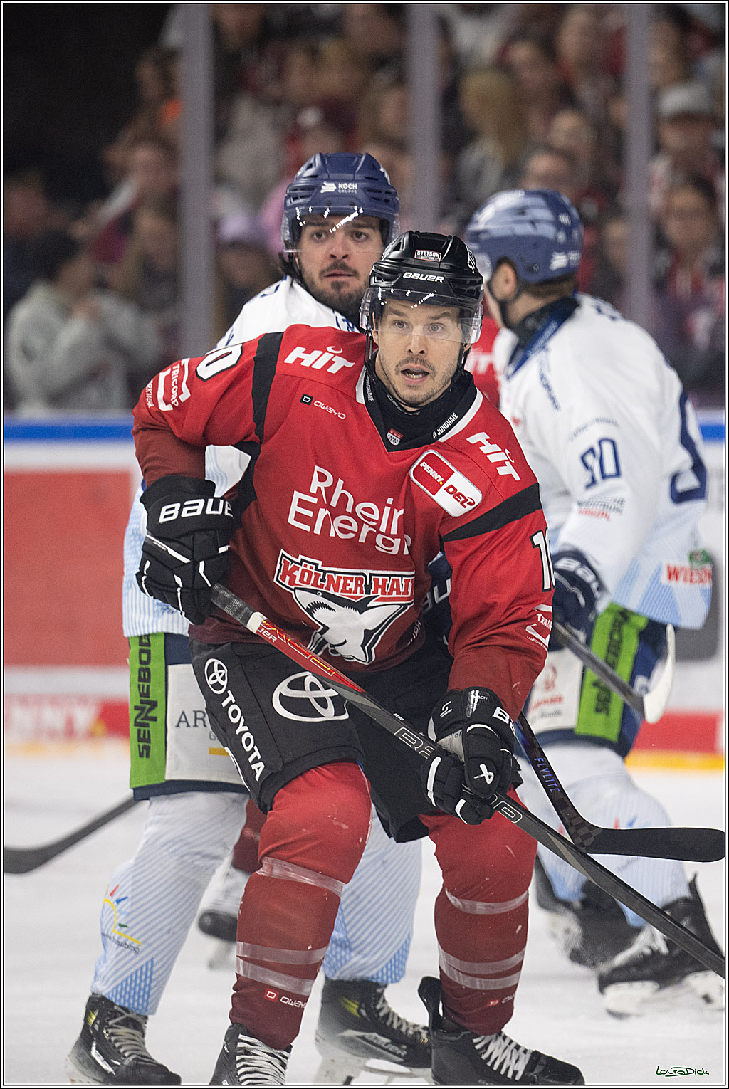 PENNY DEL 1; Kölner Haie - Straubing Tigers; Köln, 02.01.2026