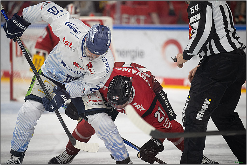 PENNY DEL 1; Kölner Haie - Straubing Tigers; Köln, 02.01.2026