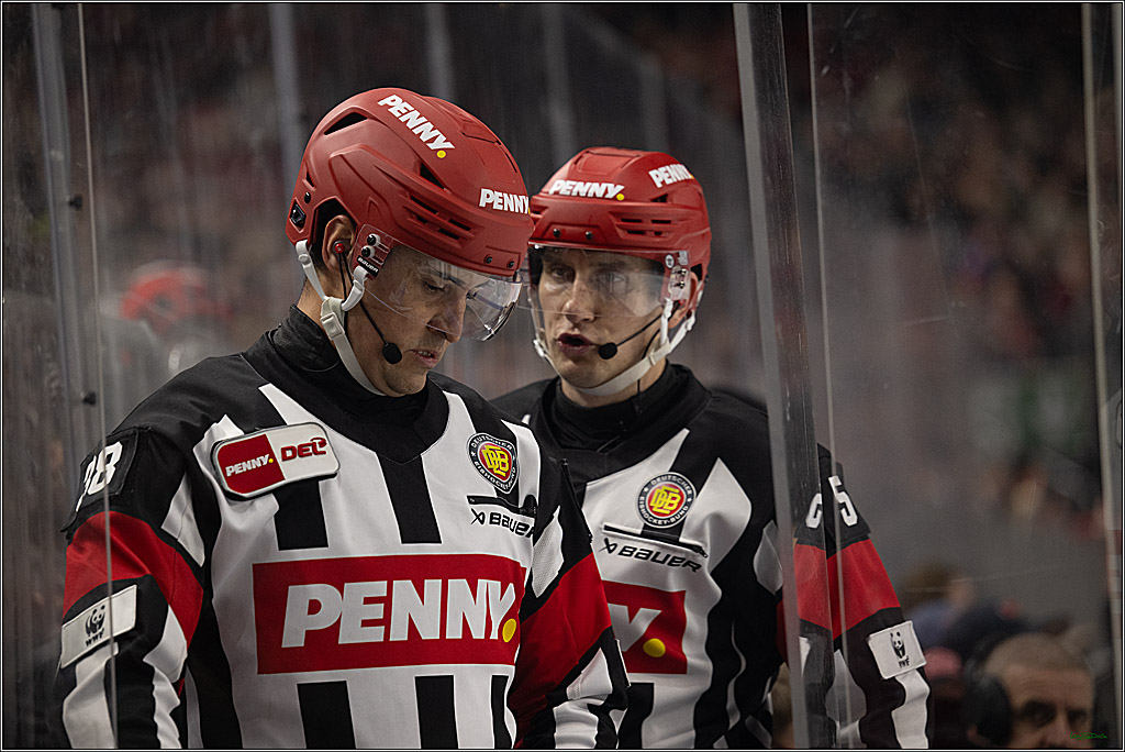 PENNY DEL 1; Kölner Haie - Straubing Tigers; Köln, 02.01.2026