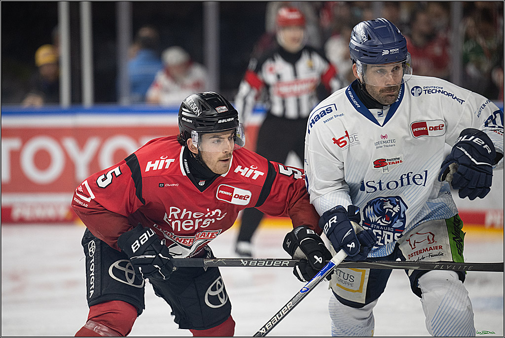 PENNY DEL 1; Kölner Haie - Straubing Tigers; Köln, 02.01.2026