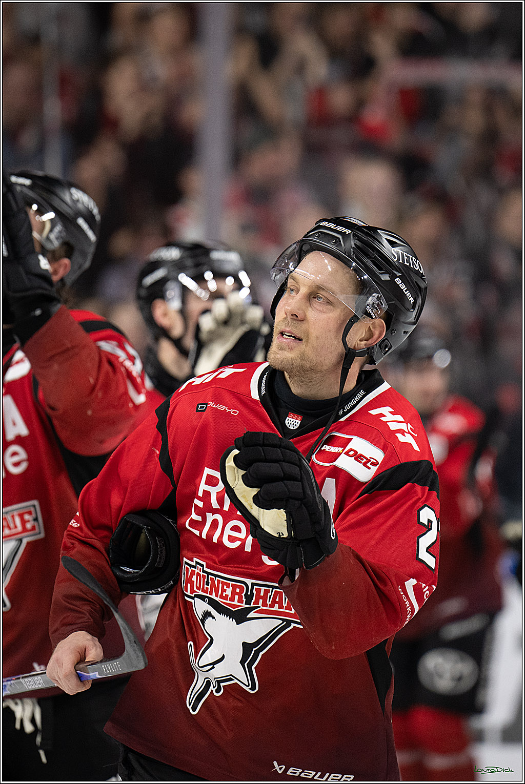 PENNY DEL 1; Kölner Haie - Straubing Tigers; Köln, 02.01.2026