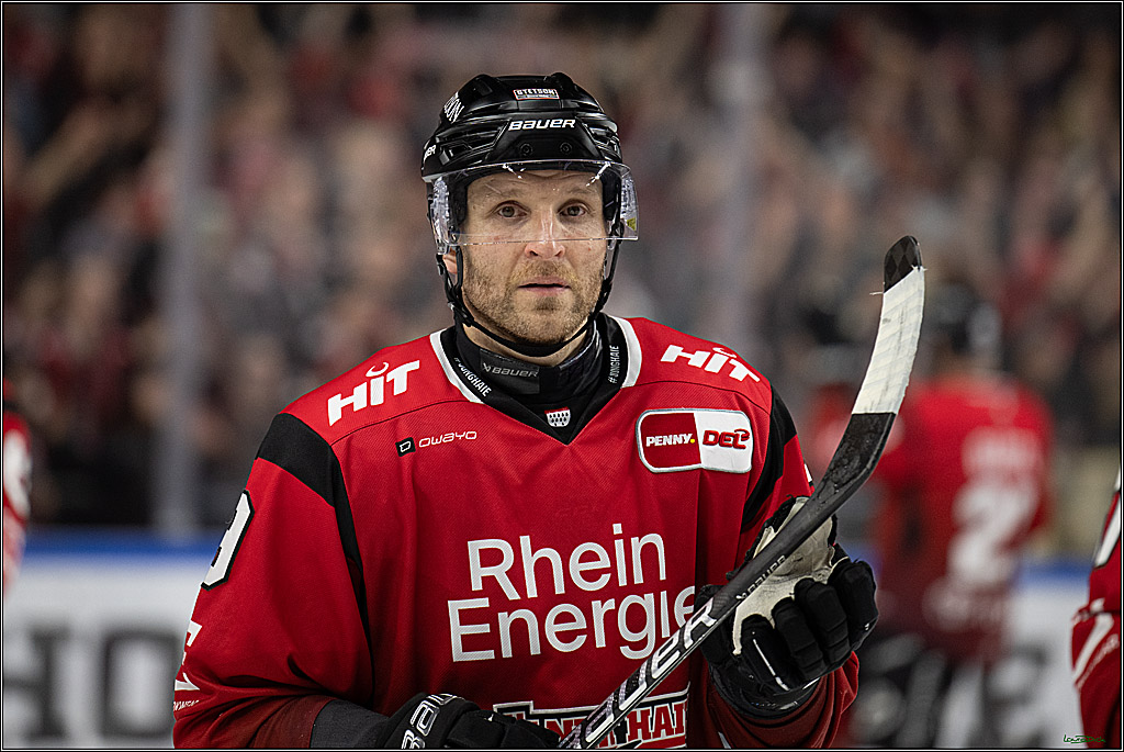 PENNY DEL 1; Kölner Haie - Straubing Tigers; Köln, 02.01.2026