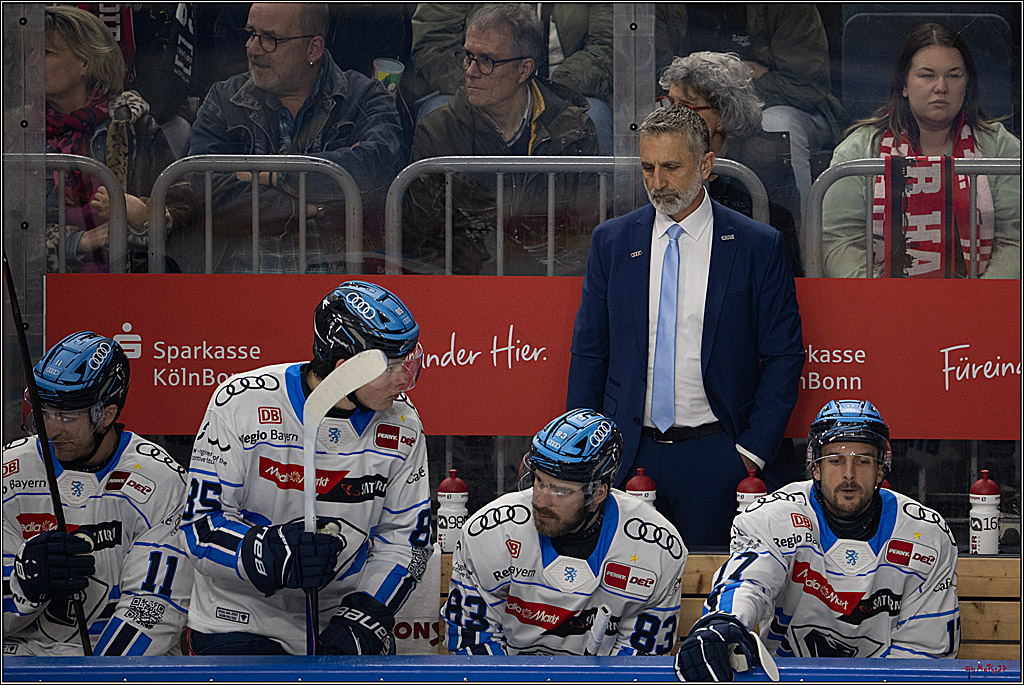 PENNY DEL 1; Kölner Haie - ERC Ingolstadt; Köln, 27.02.2026