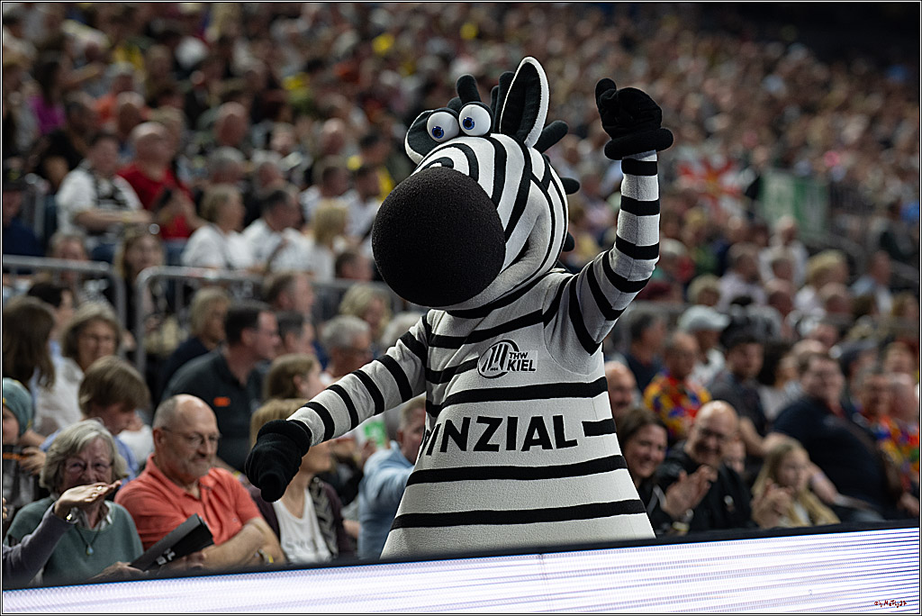 DHB-Pokal Lidl-F4 - THW Kiel - Rhein-Neckar Löwen; Köln, 12.04.2025