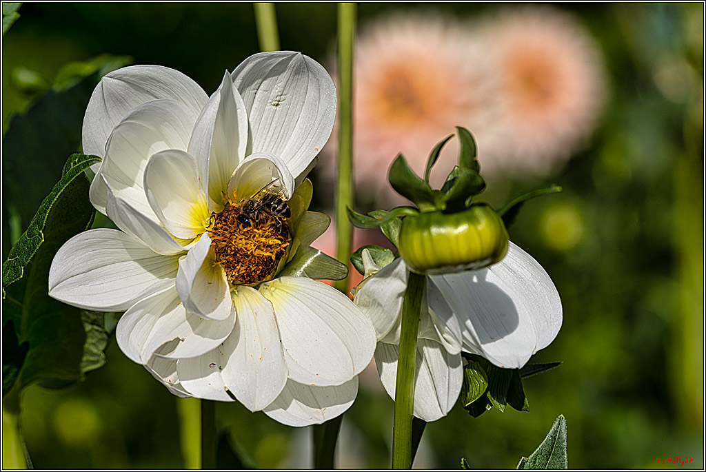 Alltagsmenschen Fulda 2023; Fulda, 14.09.2023
