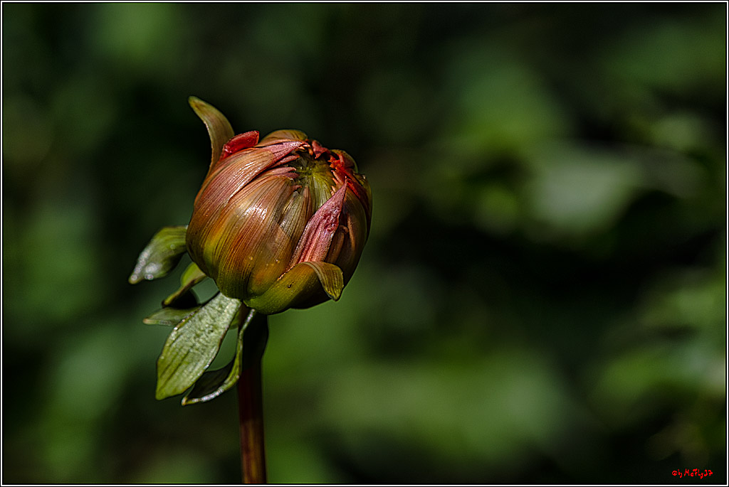 Alltagsmenschen Fulda 2023; Fulda, 14.09.2023