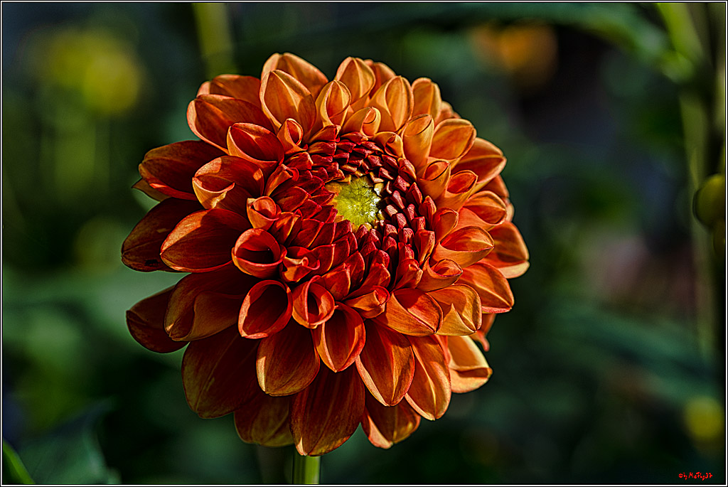 Alltagsmenschen Fulda 2023; Fulda, 14.09.2023