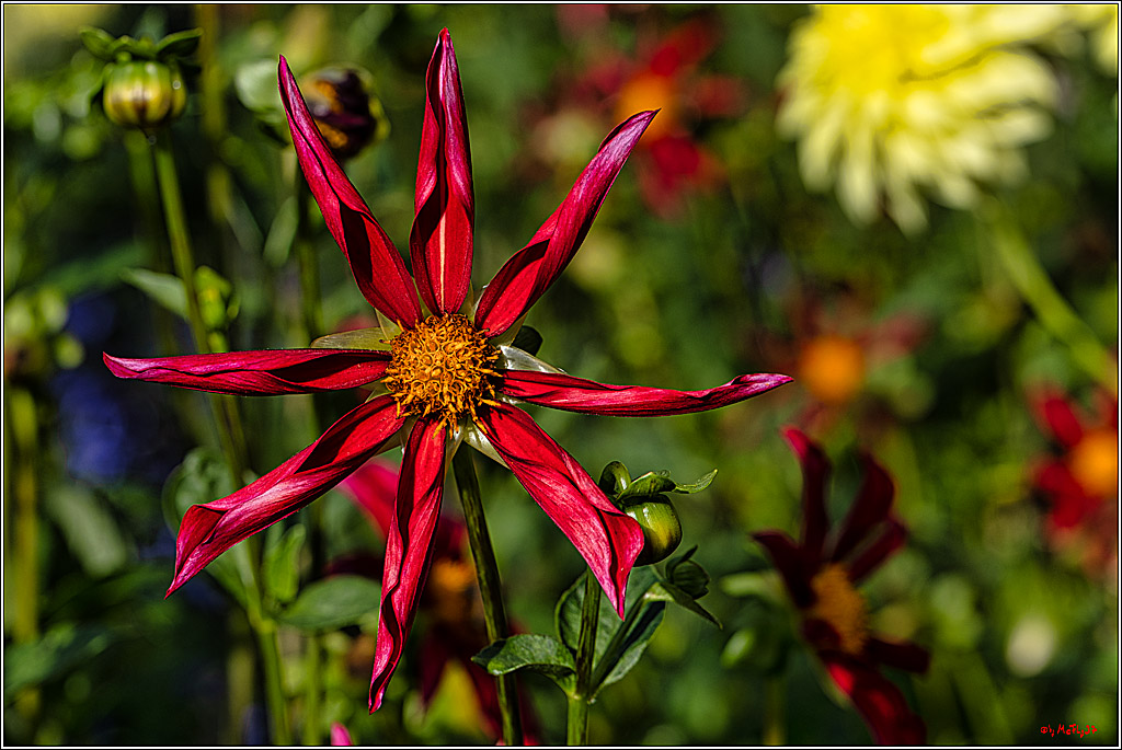 Alltagsmenschen Fulda 2023; Fulda, 14.09.2023