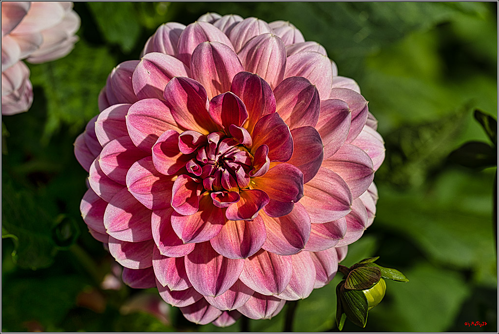 Alltagsmenschen Fulda 2023; Fulda, 14.09.2023