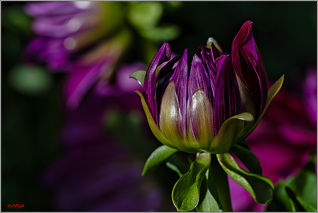 Alltagsmenschen Fulda 2023; Fulda, 14.09.2023