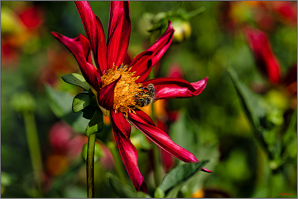 Alltagsmenschen Fulda 2023; Fulda, 14.09.2023