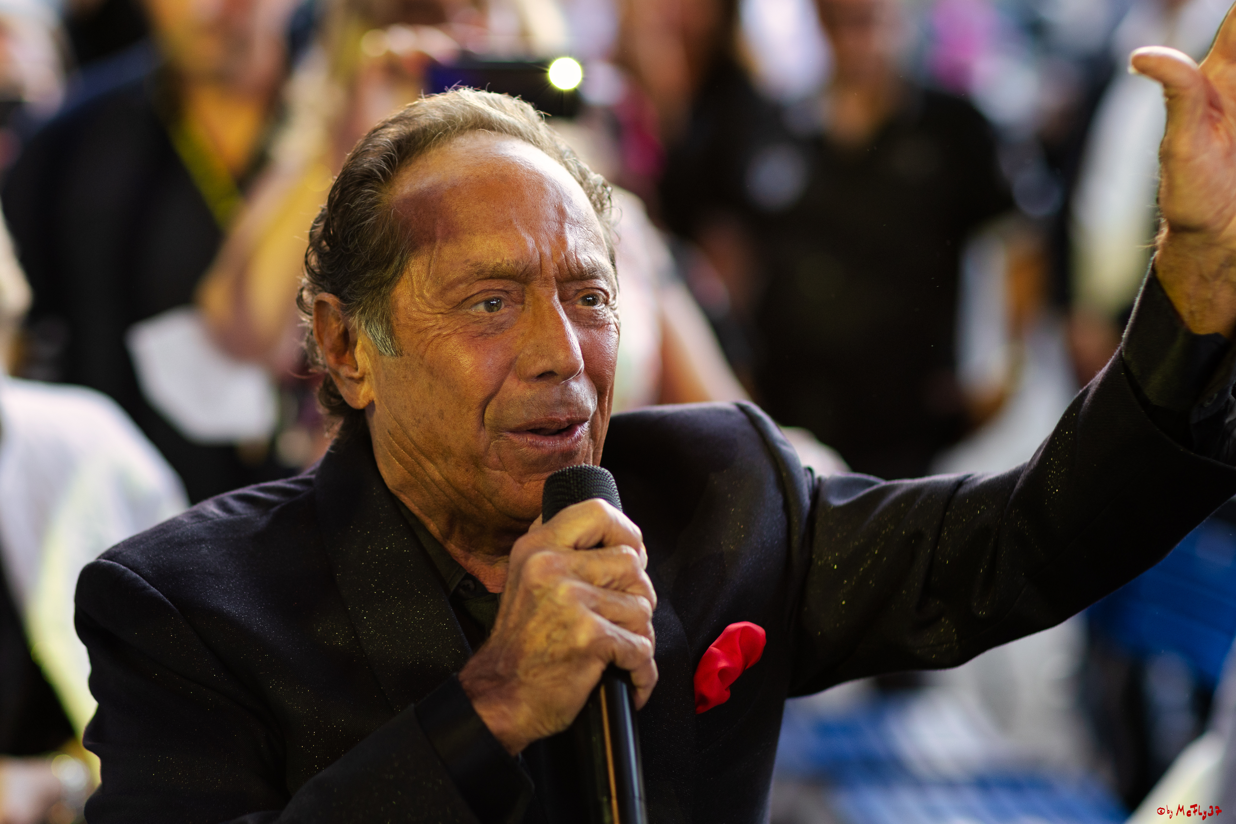 Open Air Konzert - Paul Anka, 15.07.2022