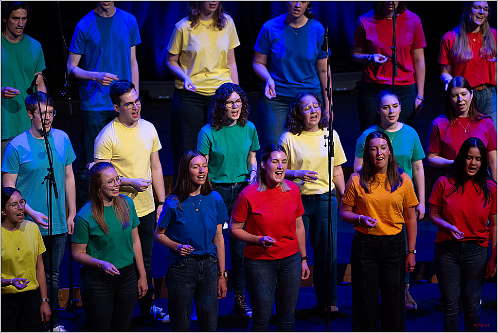 Singen macht glücklich - Sommerkonzert, 07.06.2026
