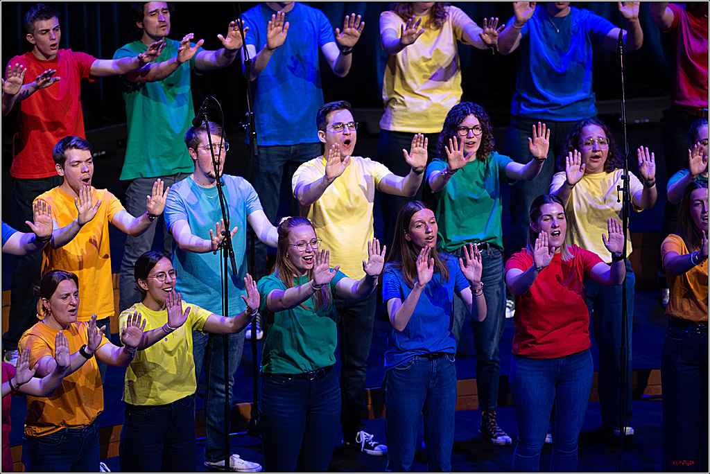 Singen macht glücklich - Sommerkonzert, 07.06.2026