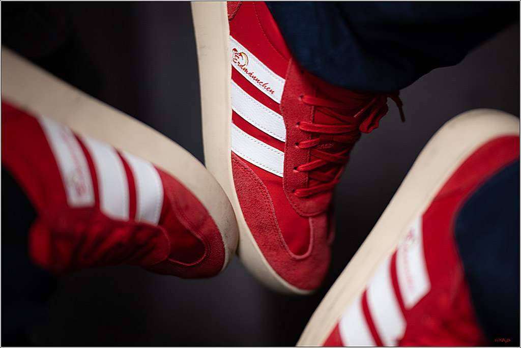 Straßenbahnsitzung 2026; Köln, 10.01.2026