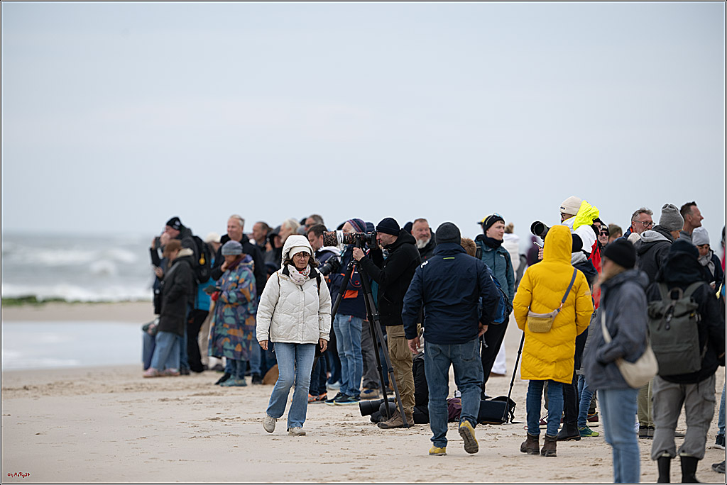 Citroën Windsurf World Cup Sylt - 2025 - Freestyle Men - Wave Women Men; Westerland, 03.10.2025