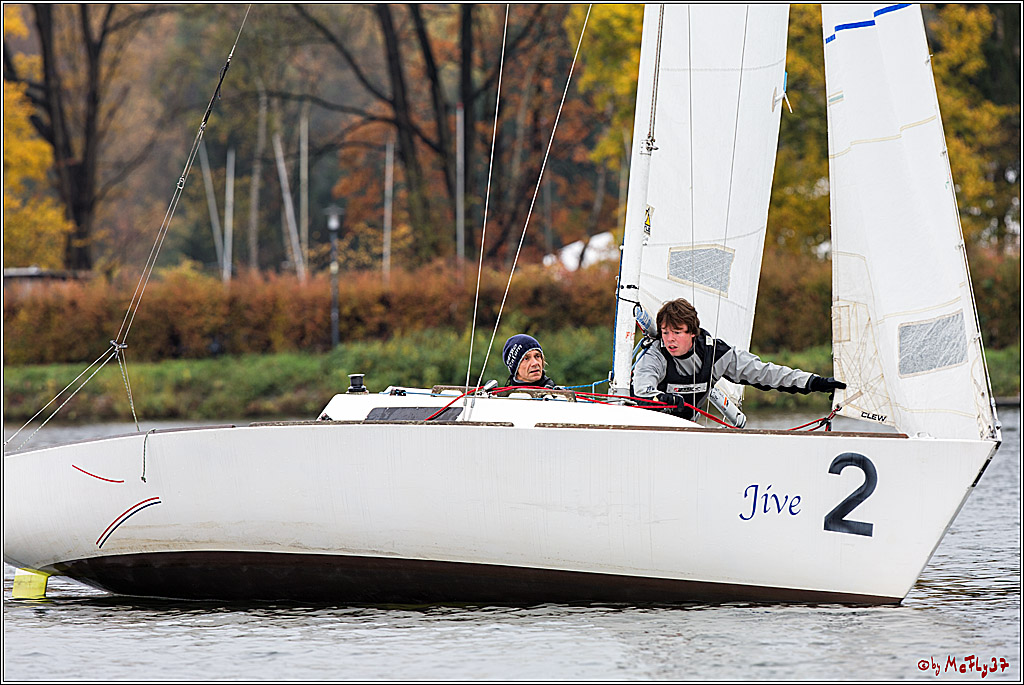 Meisterschaft der Landesmeister, 12.11.2017
