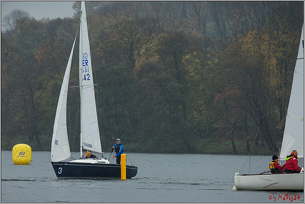 Meisterschaft der Landesmeister, 12.11.2017