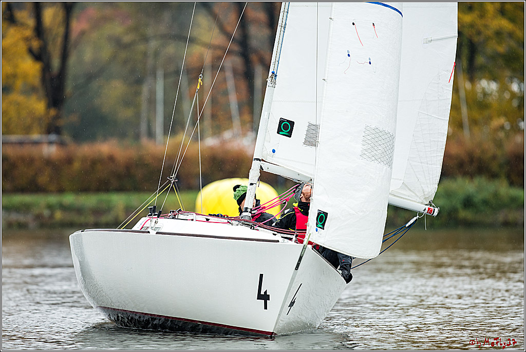 Meisterschaft der Landesmeister, 12.11.2017