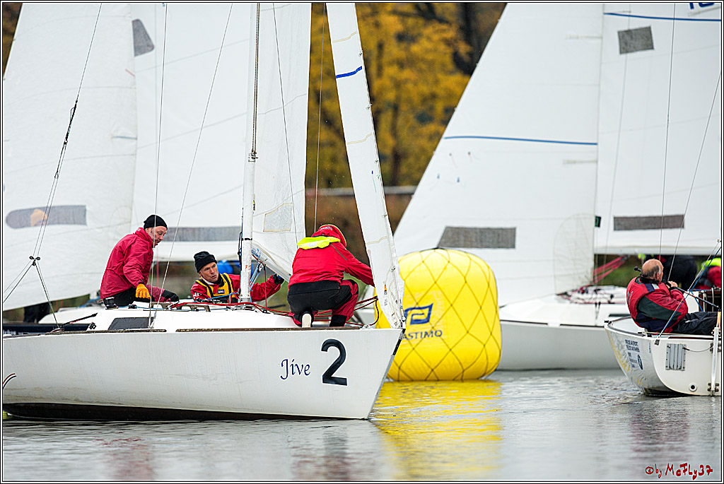 Meisterschaft der Landesmeister, 12.11.2017