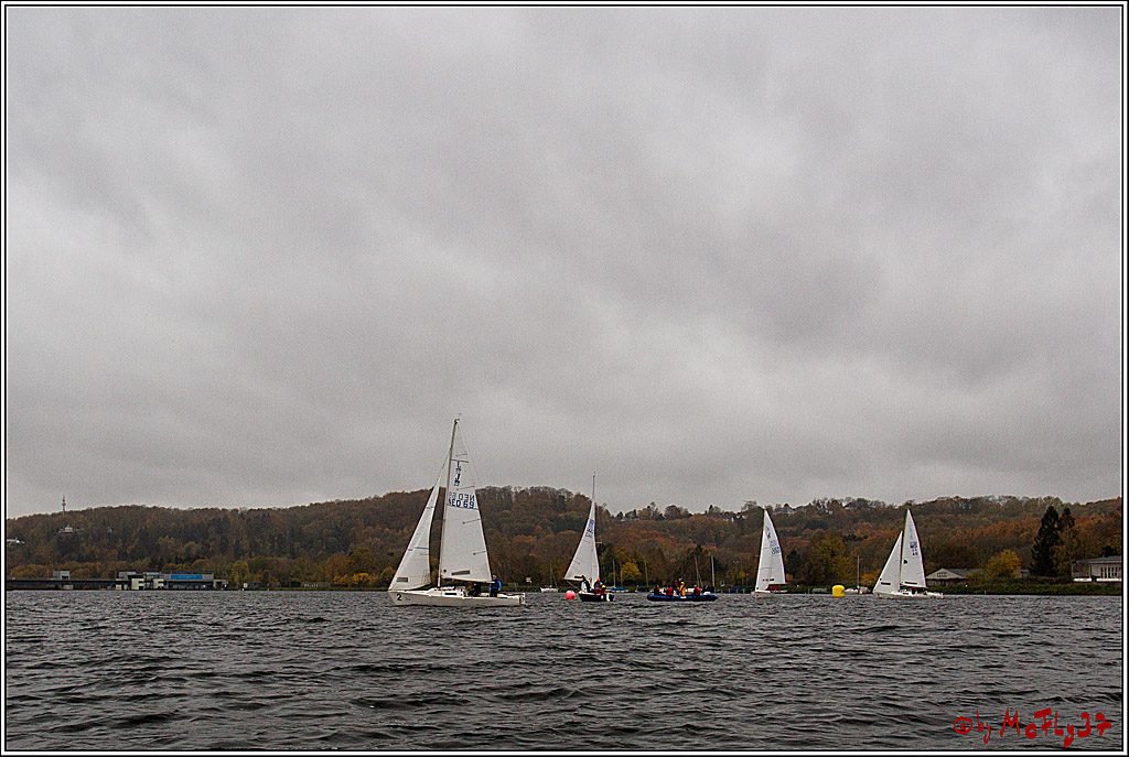 Meisterschaft der Landesmeister, 11.11.2017