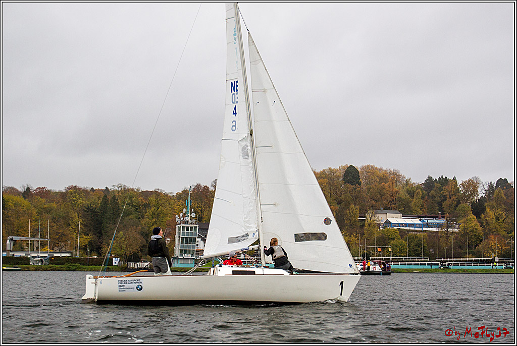 Meisterschaft der Landesmeister, 11.11.2017