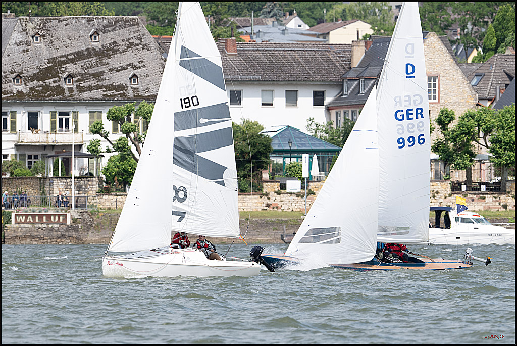 Rheinwoche 2025 1. Regattatag, 07.06.2025