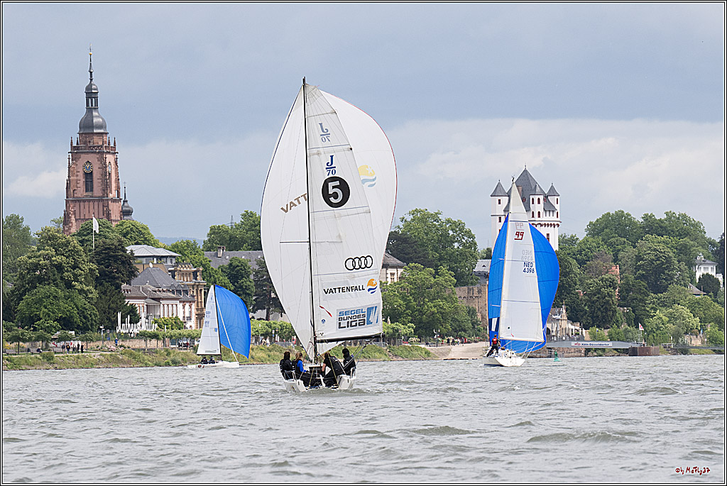 Rheinwoche 2025 1. Regattatag, 07.06.2025