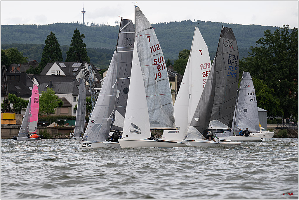 Rheinwoche 2025 1. Regattatag, 07.06.2025
