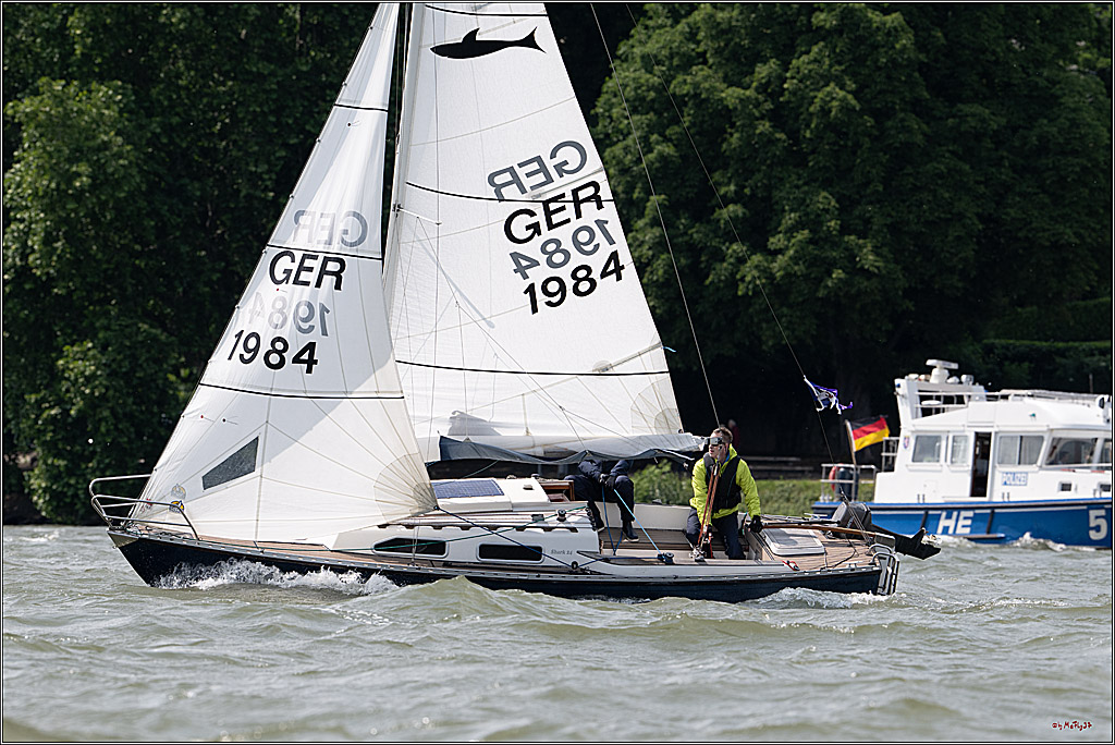 Rheinwoche 2025 1. Regattatag, 08.06.2025