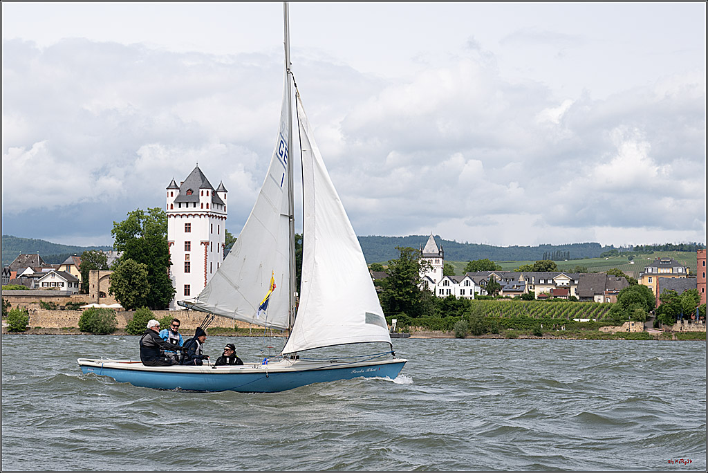 Rheinwoche 2025 1. Regattatag, 08.06.2025
