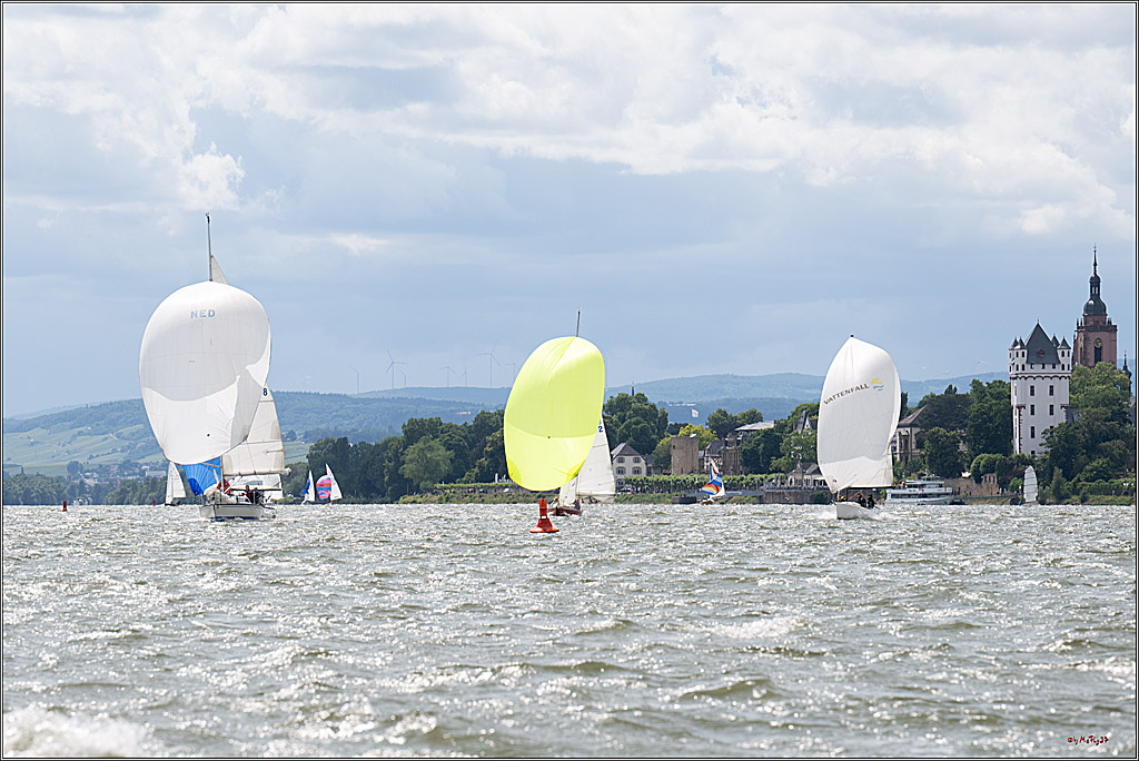 Rheinwoche 2025 1. Regattatag, 08.06.2025