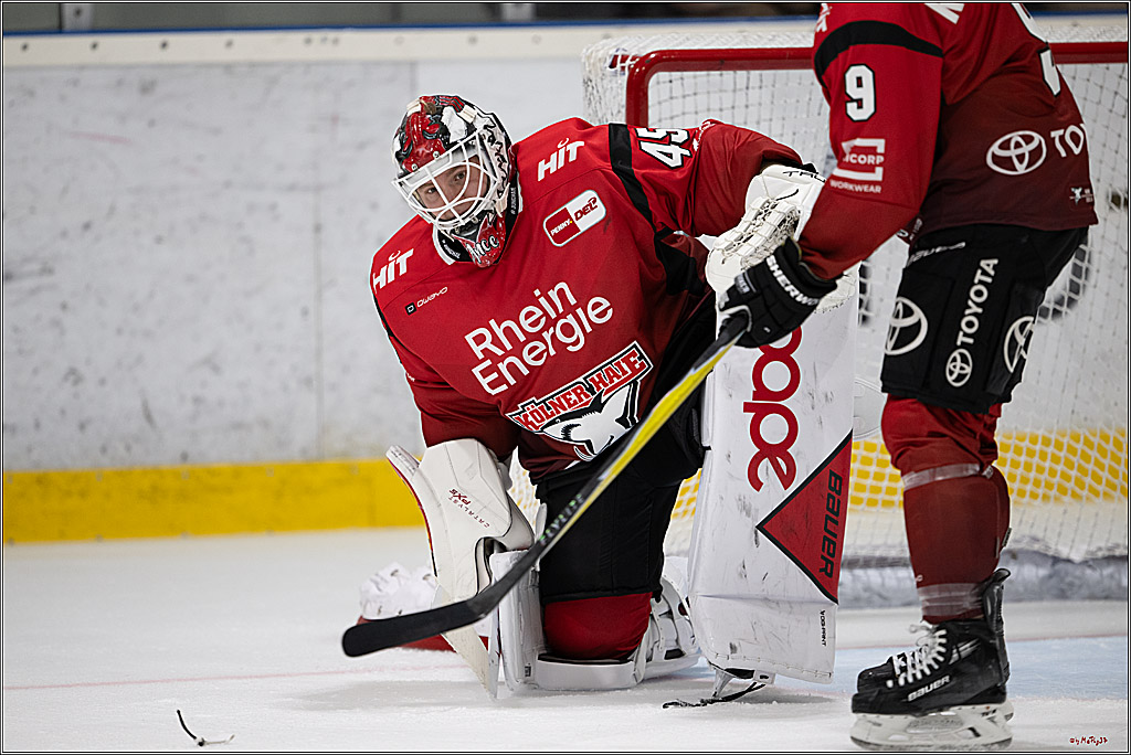 PENNY DEL 1; Trainingsauftakt Kölner Haie; Köln, 10.08.2025