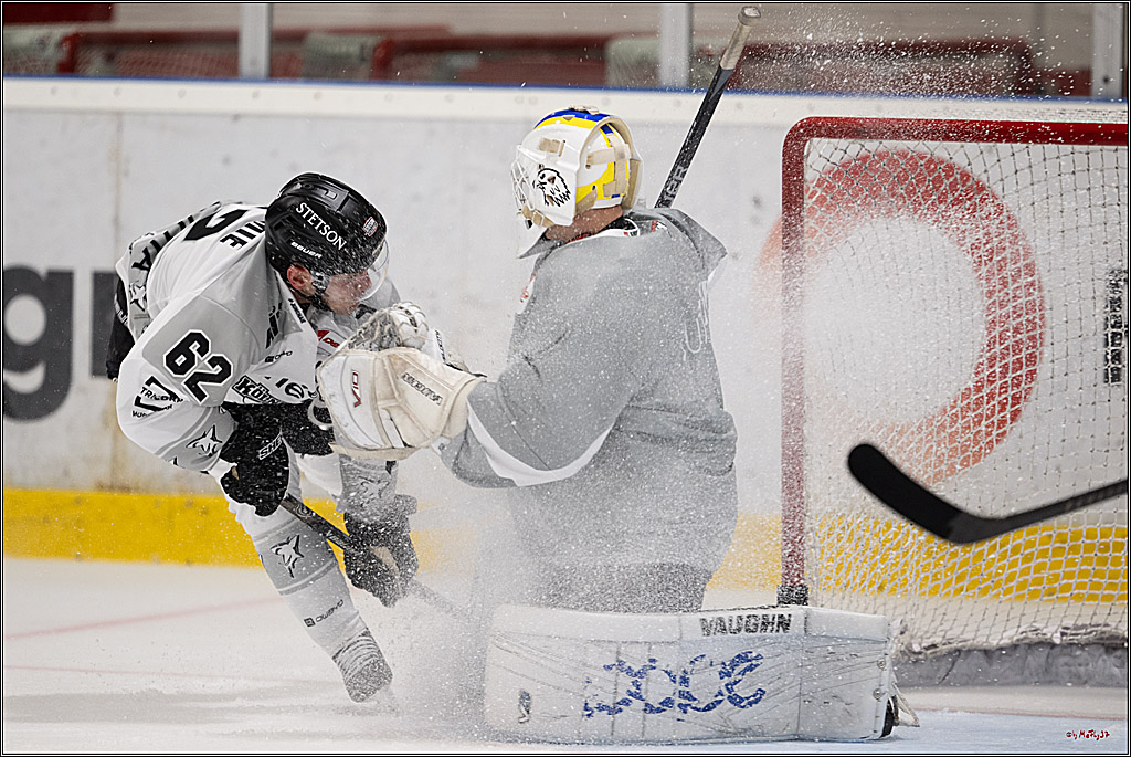 PENNY DEL 1; Trainingsauftakt Kölner Haie; Köln, 10.08.2025