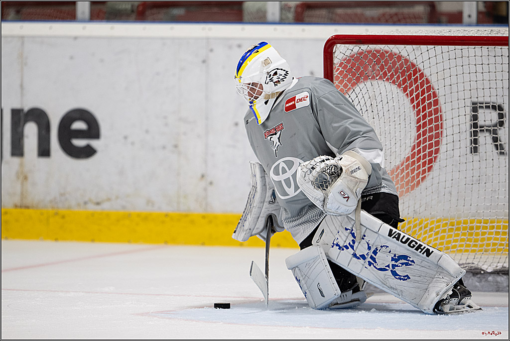 PENNY DEL 1; Trainingsauftakt Kölner Haie; Köln, 10.08.2025