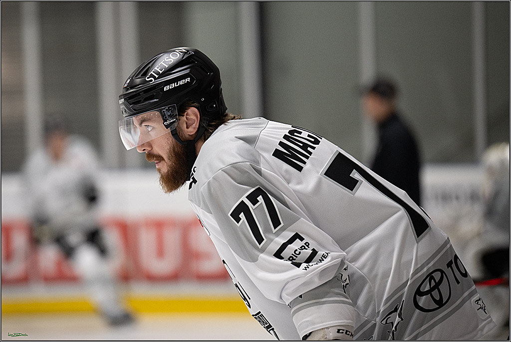 PENNY DEL; erstes oeffentliches Training; Koeln, 10.08.2025