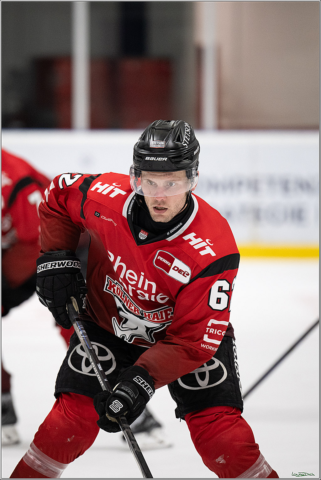 PENNY DEL; Testspiel Koelner Haie - Tappara Tempere; Koeln, 14.08.2025