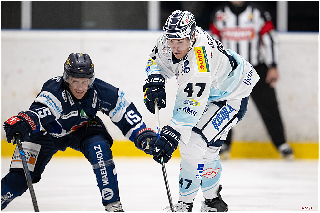 PENNY DEL 1; Testspiel Iserlohn Roosters - Dresdner Eislöwen; Köln, 15.08.2025