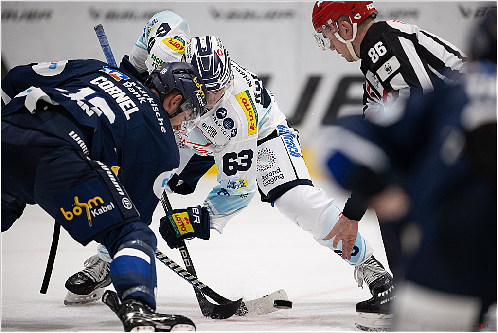 PENNY DEL 1; Testspiel Iserlohn Roosters - Dresdner Eislöwen; Köln, 15.08.2025